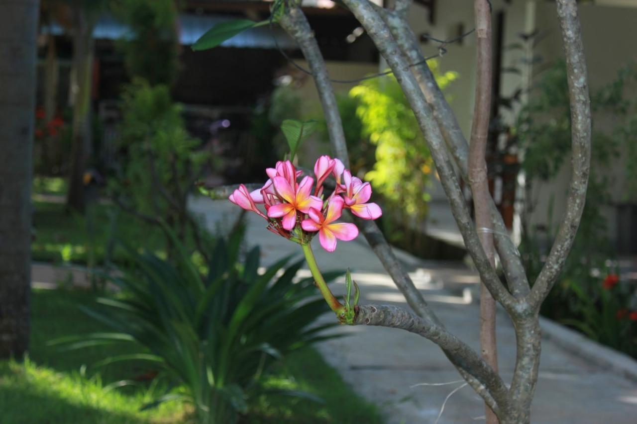 Herry Homestay Kuta  Екстериор снимка