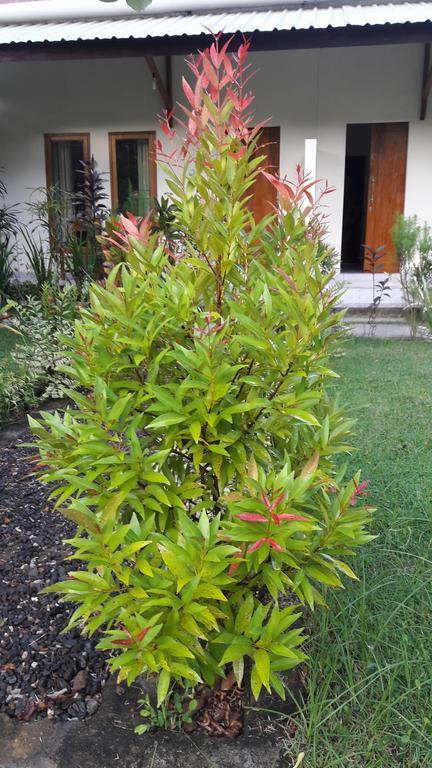 Herry Homestay Kuta  Екстериор снимка