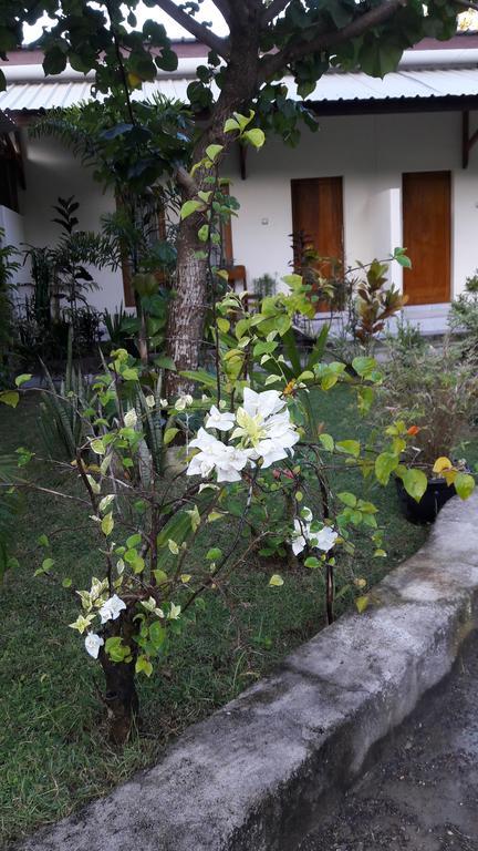 Herry Homestay Kuta  Екстериор снимка