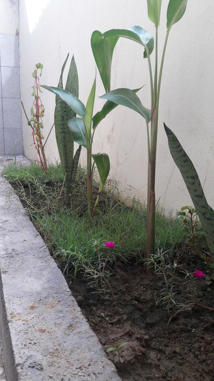 Herry Homestay Kuta  Екстериор снимка
